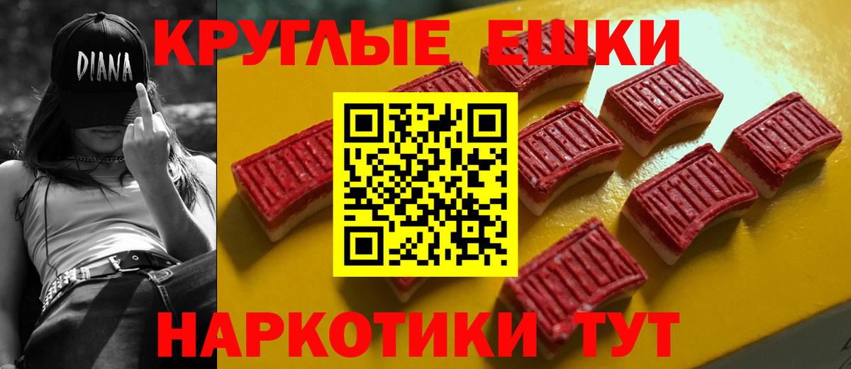 Ecstasy Philipp Plein  Вход с VPN  Санкт-Петербург  ЭКСТАЗИ mix 