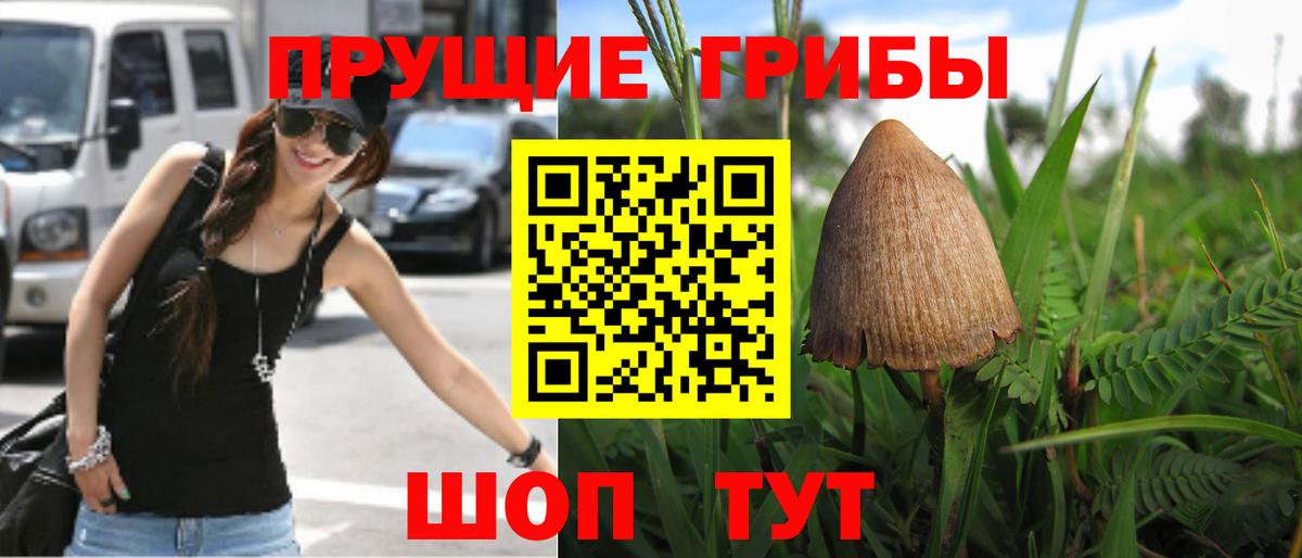 Галлюциногенные грибы MAGIC MUSHROOMS Санкт-Петербург