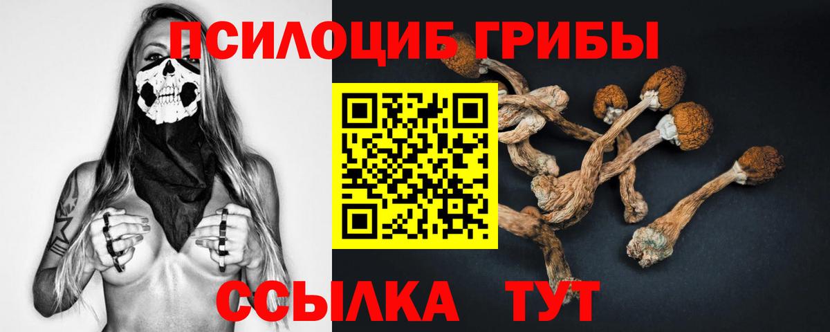 Галлюциногенные грибы MAGIC MUSHROOMS  Вход с VPN  Санкт-Петербург 