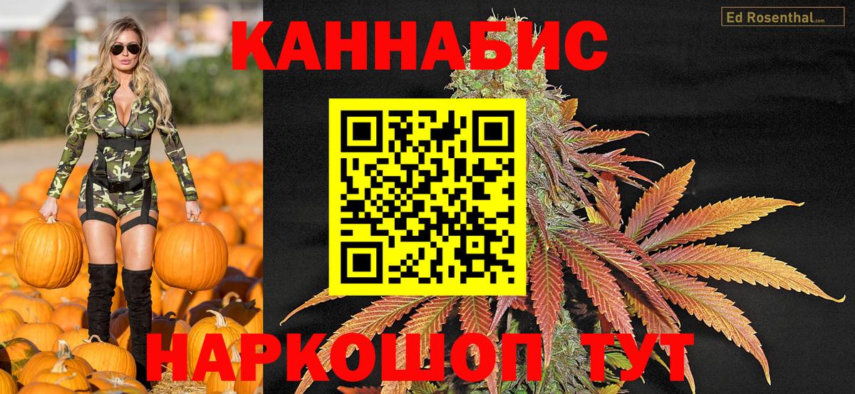 Бошки Шишки ГИДРОПОН Санкт-Петербург
